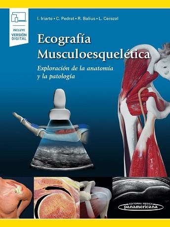 ECOGRAFÍA MUSCULOESQUELÉTICA(INCLUYE VERSIÓN DIGITAL.EDICIÓN 2020) | 9788491104674 | IRIARTE POSSE,ÍÑIGO/PEDRET CARBALLIDO,CARLES | Llibreria Geli - Llibreria Online de Girona - Comprar llibres en català i castellà