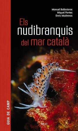 ELS NUDIBRANQUIS DEL MAR CATALÀ | 9788415885924 | BALLESTEROS VÁZQUEZ, MANUEL/PONTES GARCIA, MIQUEL/MADRENAS TOMÀS, ENRIC | Llibreria Geli - Llibreria Online de Girona - Comprar llibres en català i castellà