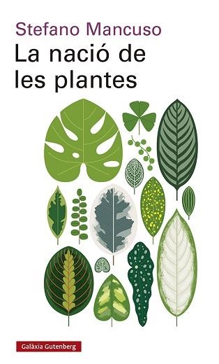 LA NACIÓ DE LES PLANTES | 9788417971564 | MANCUSO,STEFANO | Llibreria Geli - Llibreria Online de Girona - Comprar llibres en català i castellà