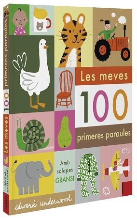 LES MEVES 100 PRIMERES PARAULES | 9788491015932 | UNDERWOOD,EDWARD | Llibreria Geli - Llibreria Online de Girona - Comprar llibres en català i castellà