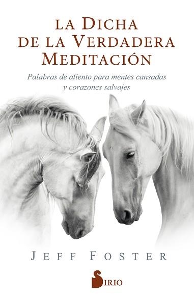 LA DICHA DE LA VERDADERA MEDITACIÓN | 9788418000522 | FOSTER,JEFF | Llibreria Geli - Llibreria Online de Girona - Comprar llibres en català i castellà