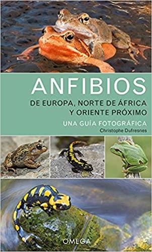 ANFIBIOS DE EUROPA,NORTE DE AFRICA Y ORIENTE PROXIMO.UNA GUÍA FOTOGRÁFICA | 9788428217330 | DUFRESNES,CHRISTOPHE | Llibreria Geli - Llibreria Online de Girona - Comprar llibres en català i castellà