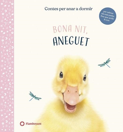 BONA NIT,ANEGUET | 9788417749637 | WOOD,AMANDA | Llibreria Geli - Llibreria Online de Girona - Comprar llibres en català i castellà