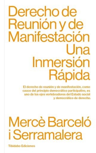 DERECHO DE REUNIÓN Y DE MANIFESTACIÓN.UNA INMERSIÓN RÁPIDA | 9788413475806 | BARCELÓ I SERRAMALERA,MERCÈ | Llibreria Geli - Llibreria Online de Girona - Comprar llibres en català i castellà