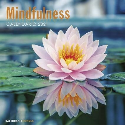 CALENDARIO MINDFULNESS 2021 | 9788448027735 | AA. VV. | Llibreria Geli - Llibreria Online de Girona - Comprar llibres en català i castellà