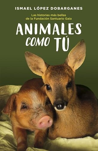 ANIMALES COMO TÚ.LAS HISTORIAS MÁS BELLAS DE LA FUNDACIÓN SANTUARIO GAIA | 9788418128189 | LÓPEZ DOBARGANES,ISMAEL | Llibreria Geli - Llibreria Online de Girona - Comprar llibres en català i castellà