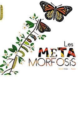 LES METAMORFOSIS | 9788417452988 | COLAS DES FRANCS,NICOLE | Llibreria Geli - Llibreria Online de Girona - Comprar llibres en català i castellà