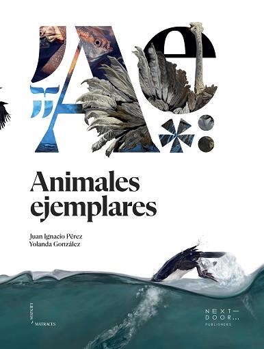 ANIMALES EJEMPLARES | 9788412159899 | PÉREZ IGLESIAS,JUAN IGNACIO | Llibreria Geli - Llibreria Online de Girona - Comprar llibres en català i castellà