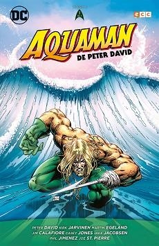 AQUAMAN DE PETER DAVID-1/3 | 9788417665630 | DAVID, PETER | Llibreria Geli - Llibreria Online de Girona - Comprar llibres en català i castellà