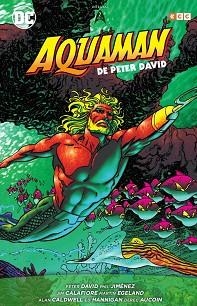 AQUAMAN DE PETER DAVID-2/3 | 9788417787271 | DAVID, PETER | Llibreria Geli - Llibreria Online de Girona - Comprar llibres en català i castellà