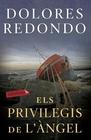 ELS PRIVILEGIS DE L'ÀNGEL | 9788417423971 | REDONDO,DOLORES | Llibreria Geli - Llibreria Online de Girona - Comprar llibres en català i castellà