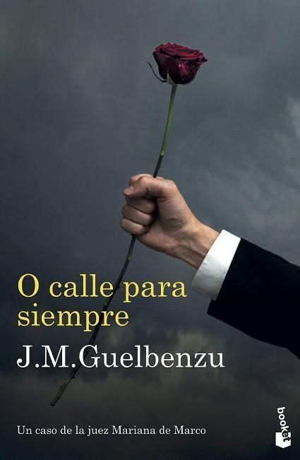 O CALLE PARA SIEMPRE | 9788423357833 | GUELBENZU,J. M. | Llibreria Geli - Llibreria Online de Girona - Comprar llibres en català i castellà