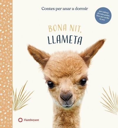 BONA NIT,LLAMETA | 9788417749958 | WOOD,AMANDA | Llibreria Geli - Llibreria Online de Girona - Comprar llibres en català i castellà