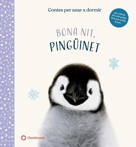 BONA NIT,PINGÜINET | 9788417749972 | WOOD,AMANDA | Llibreria Geli - Llibreria Online de Girona - Comprar llibres en català i castellà