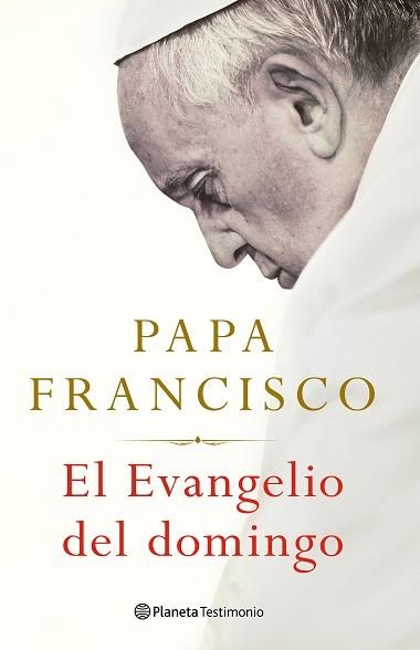 EL EVANGELIO DEL DOMINGO | 9788408238683 | FRANCISCO,PAPA | Llibreria Geli - Llibreria Online de Girona - Comprar llibres en català i castellà