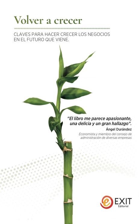 VOLVER A CRECER.CLAVES PARA HACER CRECER LOS NEGOCIOS EN EL FUTURO QUE VIENE | 9788497443333 | MARTIN MENENDEZ,JUAN MANUEL/DE OJEDA SILVA,ALFONSO RUIZ/KAISER RUIZ DEL OLMO,IGNACIO/VALVERDE L | Llibreria Geli - Llibreria Online de Girona - Comprar llibres en català i castellà