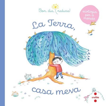 LA TERRA,CASA MEVA | 9788466149006 | FLEURUS,GROUPE | Llibreria Geli - Llibreria Online de Girona - Comprar llibres en català i castellà