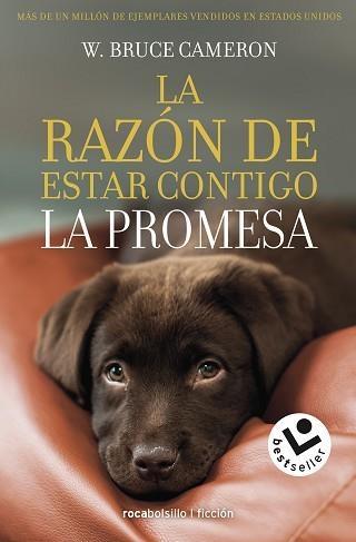 LA RAZÓN DE ESTAR CONTIGO.LA PROMESA | 9788417821432 | CAMERON,W. BRUCE | Llibreria Geli - Llibreria Online de Girona - Comprar llibres en català i castellà