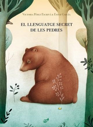 EL LLENGUATGE SECRET DE LES PEDRES | 9788418702013 | PÉREZ ESCRIVÁ,VICTORIA | Llibreria Geli - Llibreria Online de Girona - Comprar llibres en català i castellà