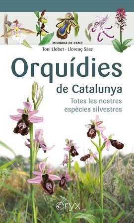 ORQUÍDIES DE CATALUNYA.TOTES LES NOSTRES ESPÈCIES SILVESTRES | 9788413560403 | SÀEZ GOÑALONS,LLORENÇ/LLOBET FRANÇOIS,TONI | Llibreria Geli - Llibreria Online de Girona - Comprar llibres en català i castellà