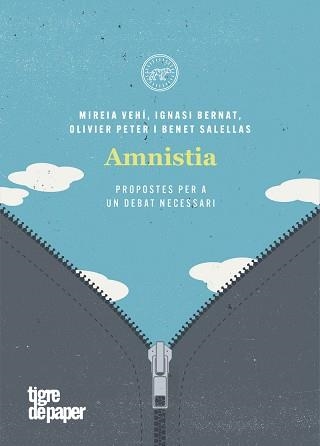 AMNISTIA.PROPOSTES PER A UN DEBAT NECESSARI | 9788418705021 | VEHÍ,MIREIA/SALELLAS,BENET | Llibreria Geli - Llibreria Online de Girona - Comprar llibres en català i castellà