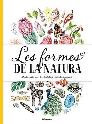 LES FORMES DE LA NATURA | 9788413560434 | SEDLACKOVA,JANA/SEKANINOVA,STEPANKA | Libreria Geli - Librería Online de Girona - Comprar libros en catalán y castellano