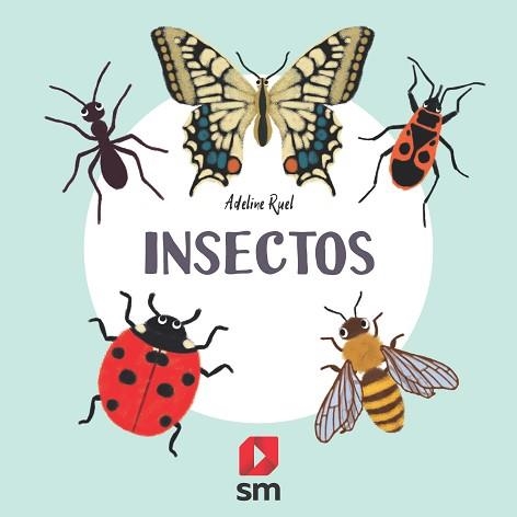 INSECTOS | 9788413188591 | RUEL,ADELINE | Llibreria Geli - Llibreria Online de Girona - Comprar llibres en català i castellà