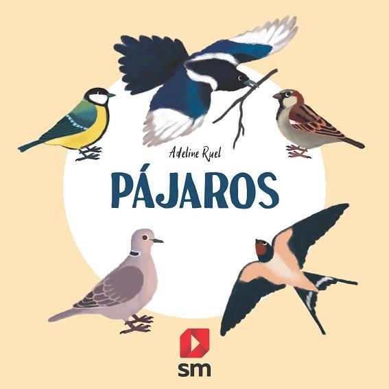 PÁJAROS | 9788413188607 | RUEL,ADELINE | Llibreria Geli - Llibreria Online de Girona - Comprar llibres en català i castellà