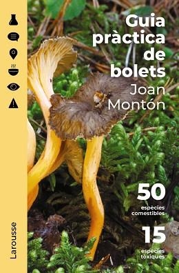 GUIA PRÀCTICA DE BOLETS | 9788418473852 | MONTÓN MARTÍNEZ,JOAN | Llibreria Geli - Llibreria Online de Girona - Comprar llibres en català i castellà