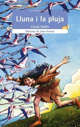 LA LLUNA I LA PLUJA | 9788476609644 | VALLES,LLUCIA | Llibreria Geli - Llibreria Online de Girona - Comprar llibres en català i castellà