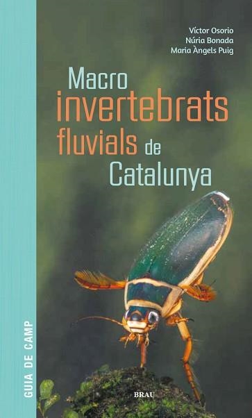 MACROINVERTEBRATS FLUVIALS DE CATALUNYA | 9788418096204 | OSORIO ÁLVAREZ,VÍCTOR/PUIG GARCÍA,M. ÁNGELES/BONADA CAPARRÓS,NÚRIA | Llibreria Geli - Llibreria Online de Girona - Comprar llibres en català i castellà