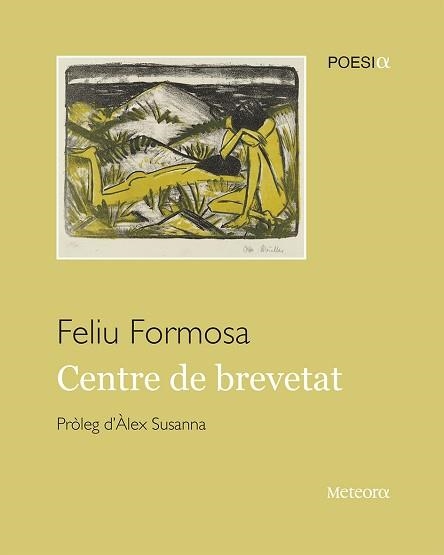 CENTRE DE BREVETAT | 9788412293050 | FORMOSA,FELIU | Llibreria Geli - Llibreria Online de Girona - Comprar llibres en català i castellà