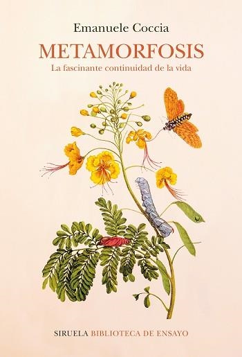 METAMORFOSIS.LA FASCINANTE CONTINUIDAD DE LA VIDA | 9788418859052 | COCCIA,EMANUELE | Llibreria Geli - Llibreria Online de Girona - Comprar llibres en català i castellà