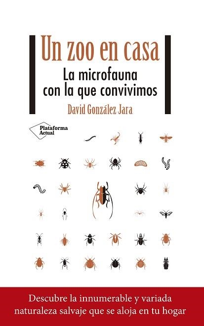 UN ZOO EN CASA.LA MICROFAUNA CON LA QUE CONVIVIMOS | 9788418582844 | GONZÁLEZ JARA,DAVID | Llibreria Geli - Llibreria Online de Girona - Comprar llibres en català i castellà