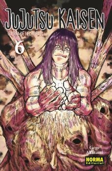 JUJUTSU KAISEN-6 | 9788467944204 | AKUTAMI, GEGE | Llibreria Geli - Llibreria Online de Girona - Comprar llibres en català i castellà