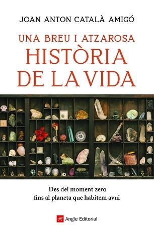 UNA BREU I ATZAROSA HISTÒRIA DE LA VIDA | 9788418197956 | CATALÀ AMIGÓ,JOAN ANTON | Llibreria Geli - Llibreria Online de Girona - Comprar llibres en català i castellà