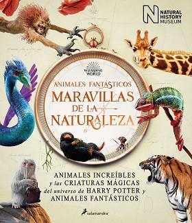 ANIMALES FANTÁSTICOS:MARAVILLAS DE LA NATURALEZA | 9788418637056 | Llibreria Geli - Llibreria Online de Girona - Comprar llibres en català i castellà