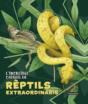 L'INCREÏBLE CATÀLEG DE RÈPTILS EXTRAORDINARIS | 9788418520341 | BANFI,CRISTINA | Llibreria Geli - Llibreria Online de Girona - Comprar llibres en català i castellà