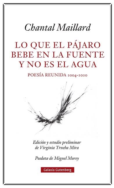 LO QUE EL PÁJARO BEBE EN LA FUENTE Y NO ES EL AGUA | 9788418807633 | MAILLARD,CHANTAL | Llibreria Geli - Llibreria Online de Girona - Comprar llibres en català i castellà