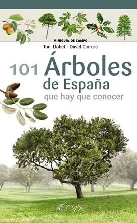 101 ÁRBOLES DE ESPAÑA | 9788418735097 | LLOBET FRANÇOIS,TONI/CARRERA BONET,DAVID | Llibreria Geli - Llibreria Online de Girona - Comprar llibres en català i castellà