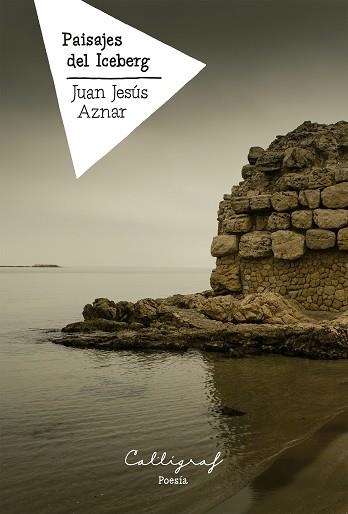 PAISAJES DEL ICEBERG | 9788412459241 | AZNAR,JUAN JESÚS | Llibreria Geli - Llibreria Online de Girona - Comprar llibres en català i castellà