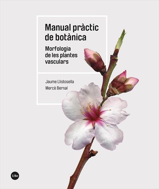 MANUAL PRÀCTIC DE BOTÀNICA.MORFOLOGIA DE LES PLANTES VASCULARS | 9788491688266 | LLISTOSELLA VIDAL,JAUME/BERNAL CID,MERCÈ | Llibreria Geli - Llibreria Online de Girona - Comprar llibres en català i castellà