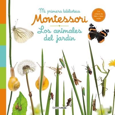 LOS ANIMALES DEL JARDÍN. MI PRIMERA BIBLIOTECA MONTESSORI | 9788408244585 | AA. VV. | Llibreria Geli - Llibreria Online de Girona - Comprar llibres en català i castellà