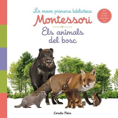 ELS ANIMALS DEL BOSC(LA MEVA PRIMERA BIBLIOTECA MONTESSORI) | 9788413890159 | AA. VV. | Llibreria Geli - Llibreria Online de Girona - Comprar llibres en català i castellà