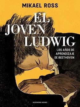 EL JOVEN LUDWIG | 9788418052361 | ROSS, MIKAEL | Llibreria Geli - Llibreria Online de Girona - Comprar llibres en català i castellà