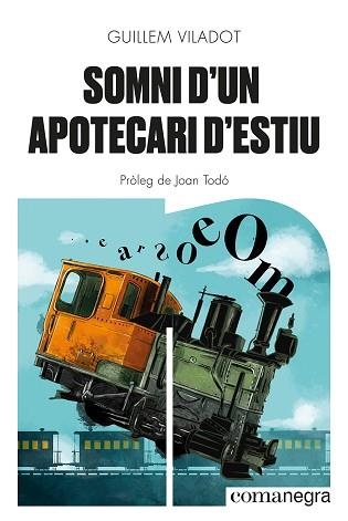 SOMNI D'UN APOTECARI D'ESTIU | 9788418857645 | VILADOT,GUILLEM | Llibreria Geli - Llibreria Online de Girona - Comprar llibres en català i castellà