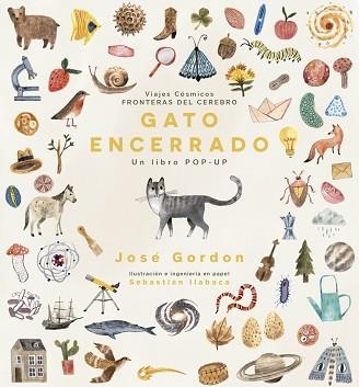 GATO ENCERRADO | 9786078619177 | GORDON,JOSÉ | Llibreria Geli - Llibreria Online de Girona - Comprar llibres en català i castellà