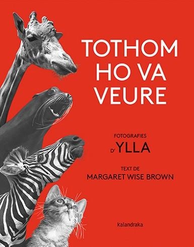 TOTHOM HO VA VEURE | 9788418558580 | BROWN,MARGARET WISE | Llibreria Geli - Llibreria Online de Girona - Comprar llibres en català i castellà