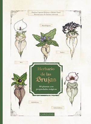 HERBARIO DE LAS BRUJAS.80 PLANTAS CON PROPIEDADES MÁGICAS | 9788419250926 | CAPMAS-DELARUE,PAULINE/VIARD,MICHEL | Libreria Geli - Librería Online de Girona - Comprar libros en catalán y castellano