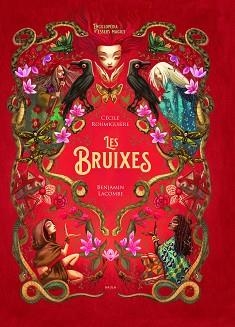 LES BRUIXES | 9788447948987 | LACOMBE,BENJAMIN/ROUMIGUIÈRE,CÉCILE | Llibreria Geli - Llibreria Online de Girona - Comprar llibres en català i castellà